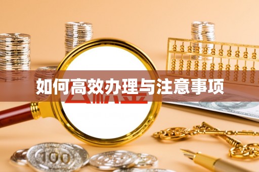 东乌旗如何高效办理与注意事项
