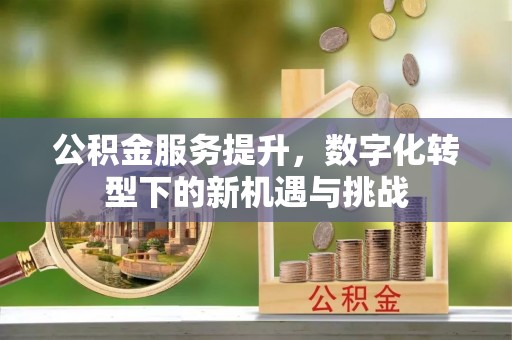 东乌旗公积金服务提升，数字化转型下的新机遇与挑战