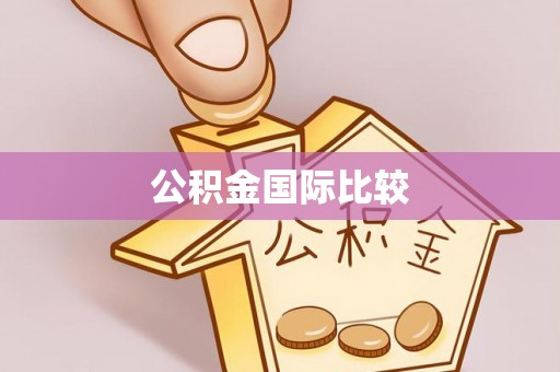 东乌旗公积金国际比较