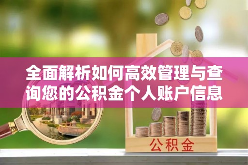 东乌旗全面解析如何高效管理与查询您的公积金个人账户信息