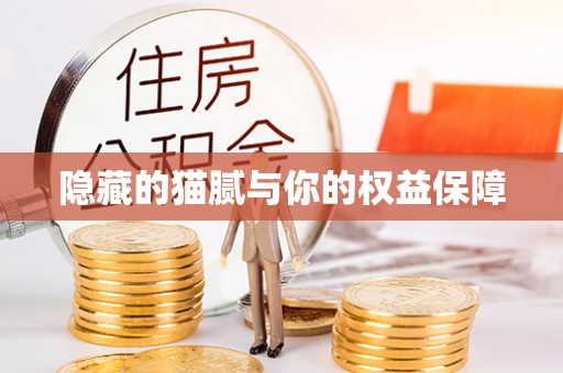 东乌旗隐藏的猫腻与你的权益保障