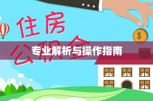 东乌旗专业解析与操作指南