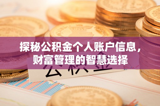 东乌旗探秘公积金个人账户信息，财富管理的智慧选择