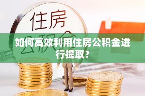 东乌旗如何高效利用住房公积金进行提取？