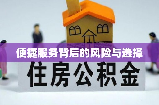 东乌旗便捷服务背后的风险与选择