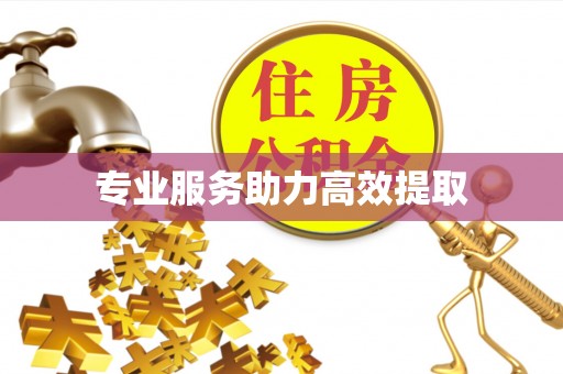 东乌旗专业服务助力高效提取