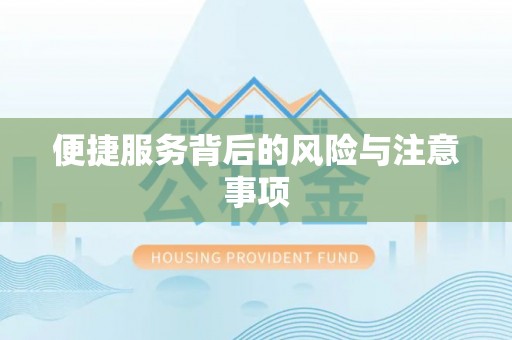 东乌旗便捷服务背后的风险与注意事项