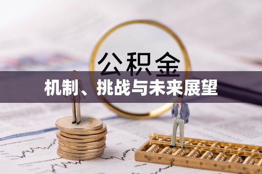 东乌旗机制、挑战与未来展望