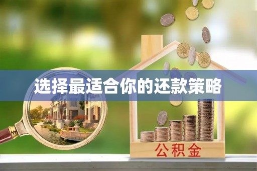 东乌旗选择最适合你的还款策略