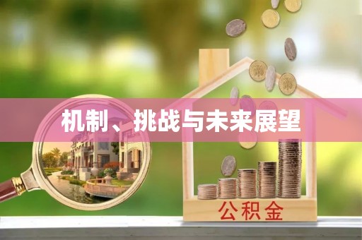 东乌旗机制、挑战与未来展望